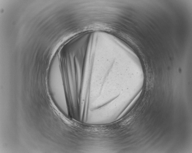 X0000051861040200507151815