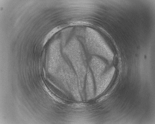 X0000051861041200507151815