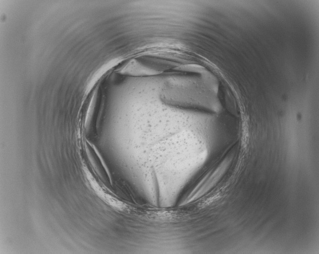 X0000051861042200507151815