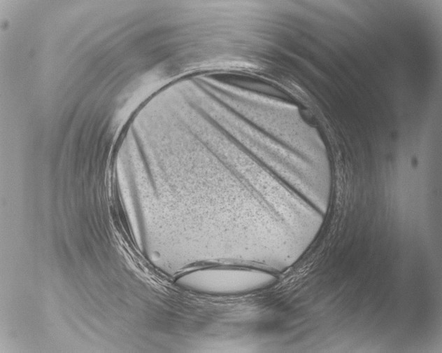 X0000051861044200507151815