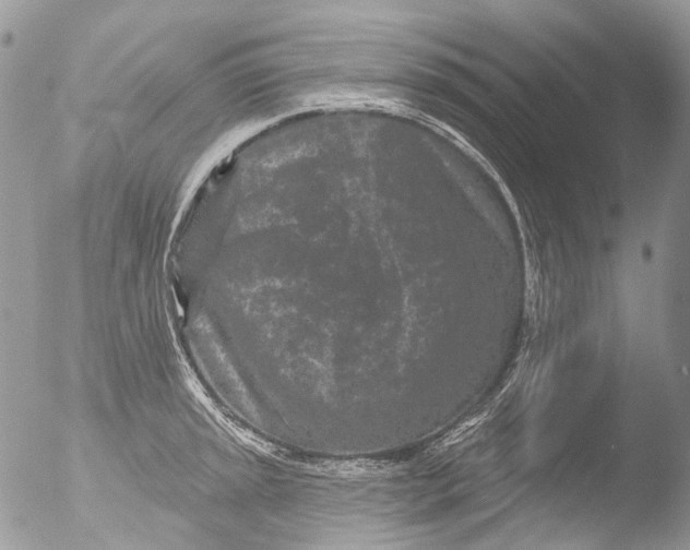 X0000051861045200507151815