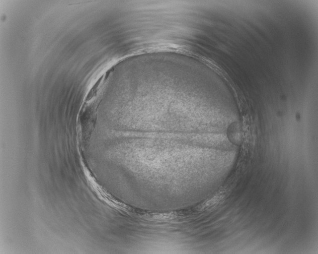 X0000051861047200507151815