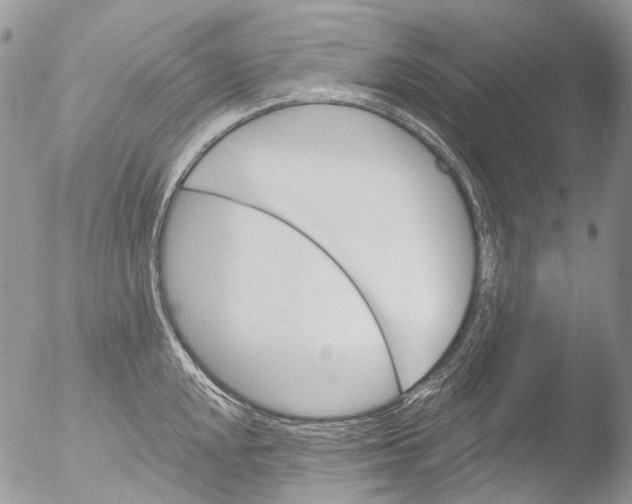 X0000051861048200507151815