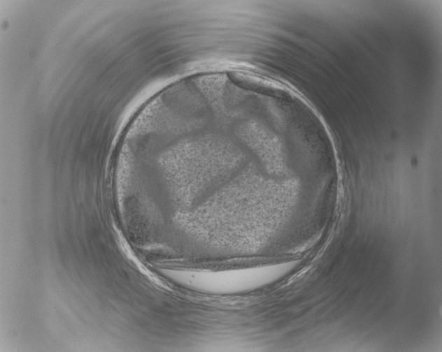 X0000051861053200507151815