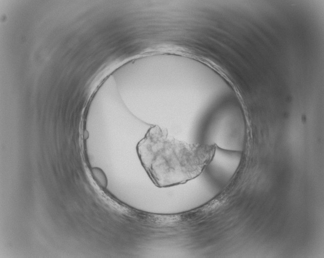 X0000051861055200507151815