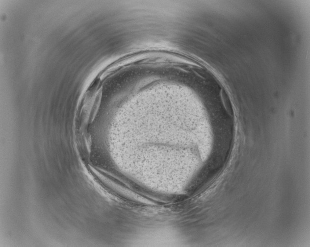 X0000051861056200507151815