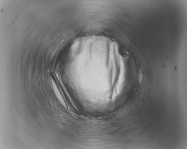 X0000051861059200507151814