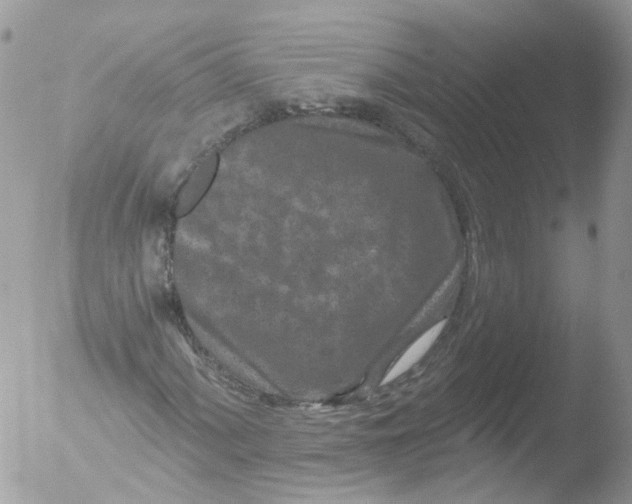 X0000051861060200507151814