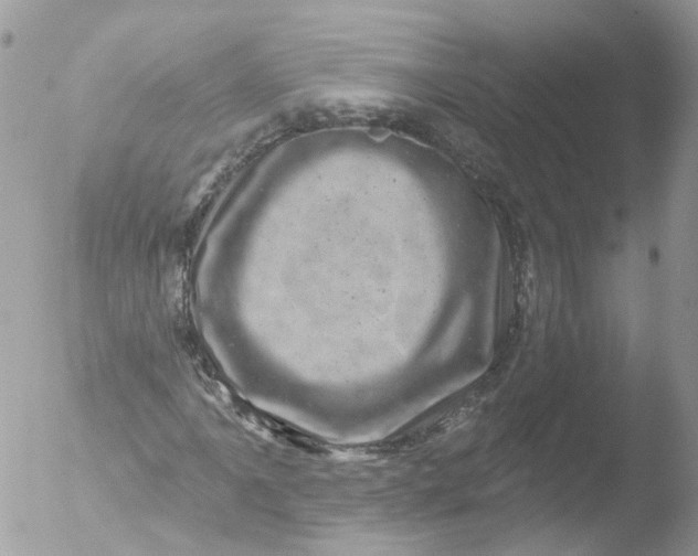 X0000051861061200507151814