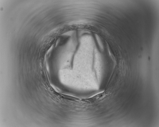 X0000051861062200507151814