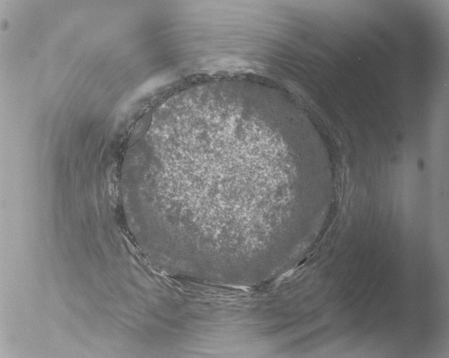 X0000051861063200507151814