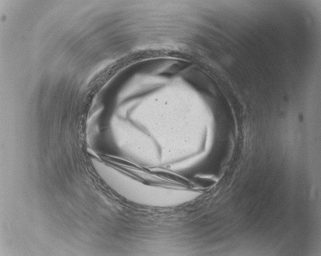 X0000051861064200507151814