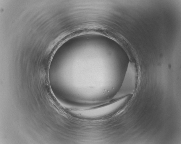 X0000051861065200507151814