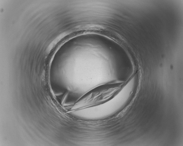 X0000051861066200507151814