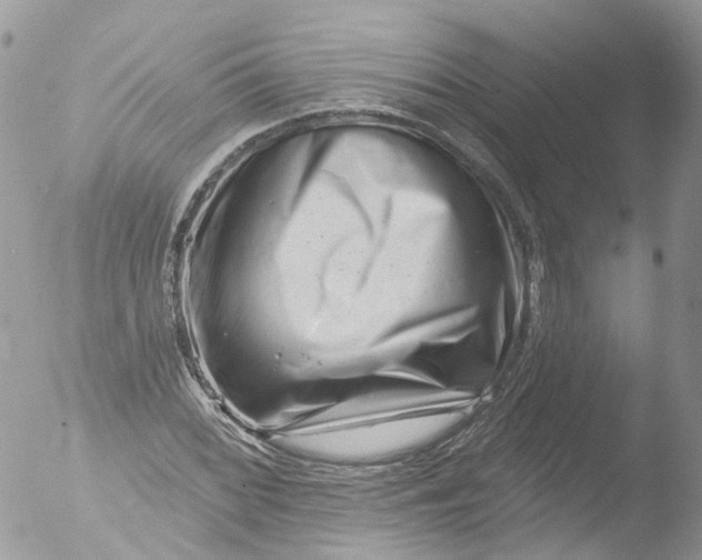 X0000051861068200507151814