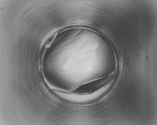 X0000051861069200507151814