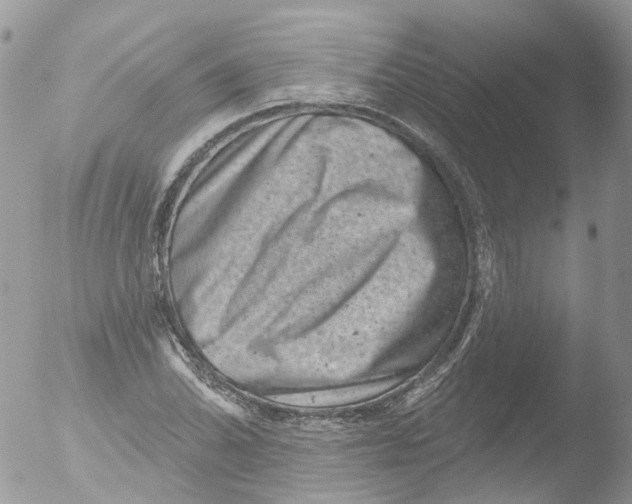 X0000051861070200507151814