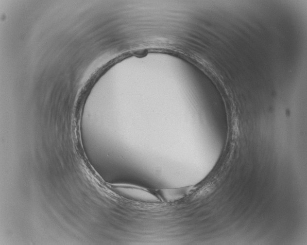 X0000051861072200507151814