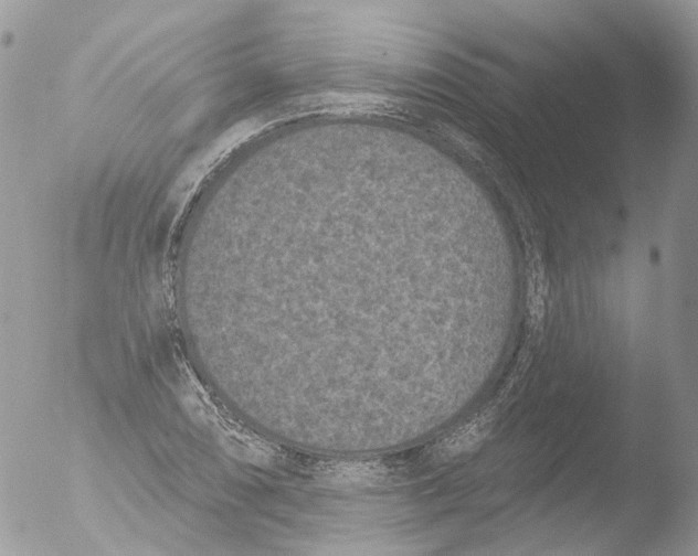 X0000051861074200507151814