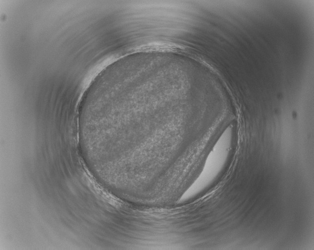 X0000051861075200507151814