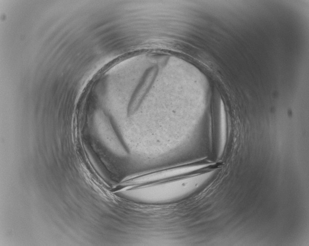 X0000051861076200507151814