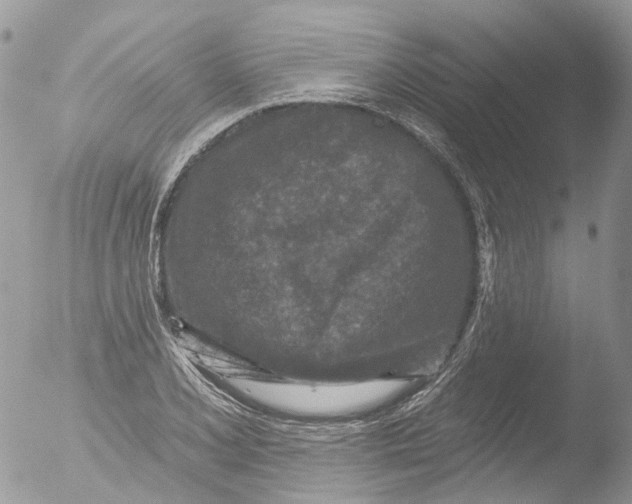 X0000051861077200507151814