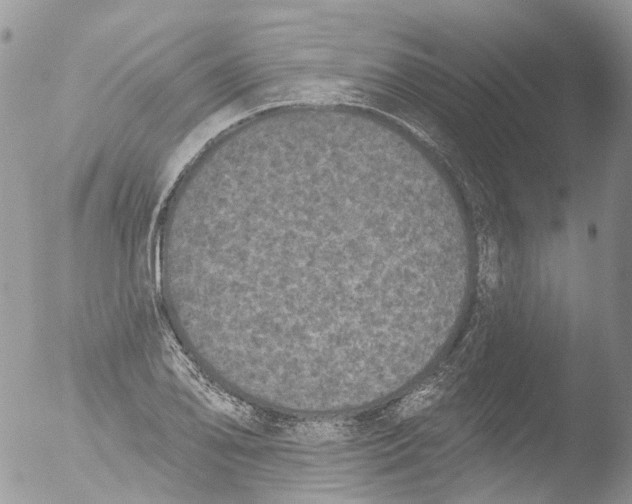 X0000051861078200507151814