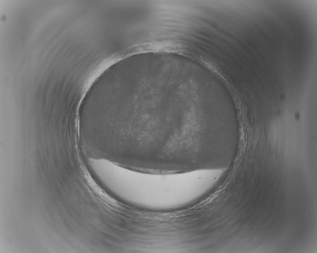 X0000051861079200507151814