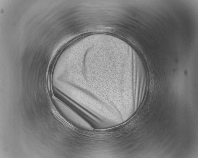 X0000051861080200507151814