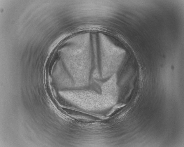 X0000051861082200507151814