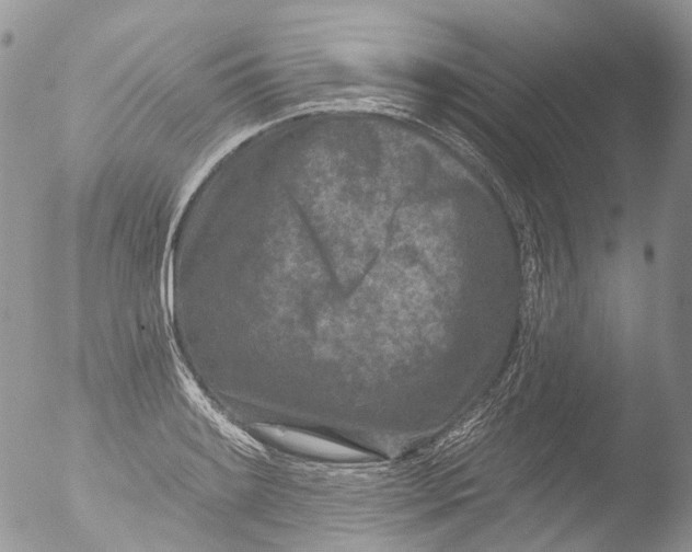 X0000051861084200507151814