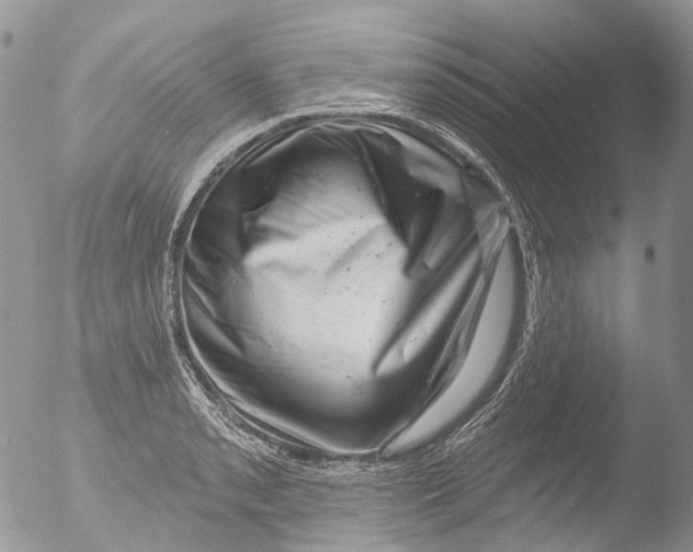 X0000051861085200507151814