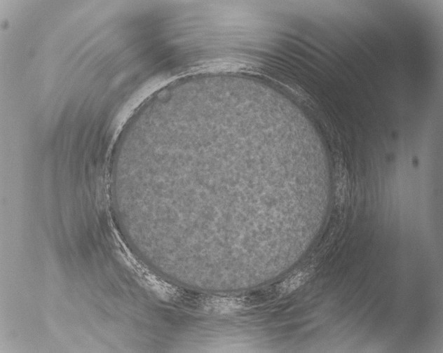 X0000051861086200507151814