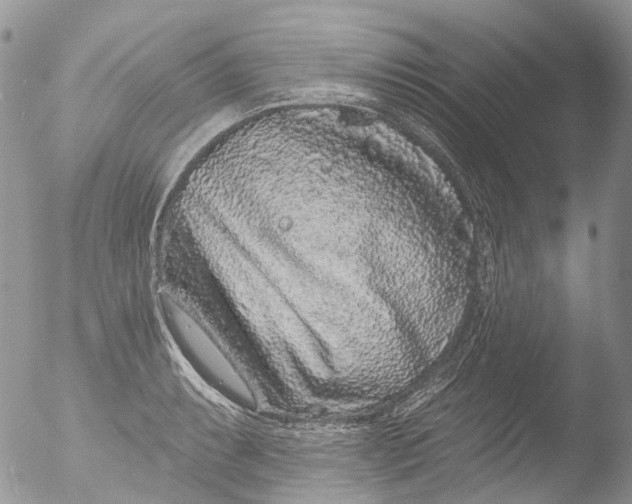 X0000051861087200507151814