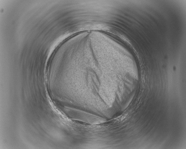 X0000051861088200507151814