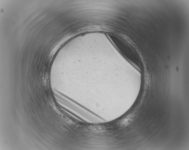 X0000051861089200507151814