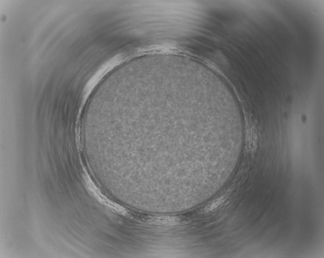 X0000051861090200507151814