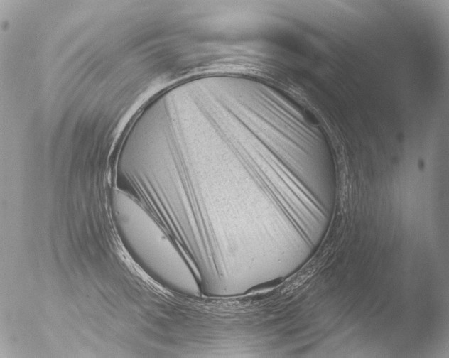 X0000051861092200507151814