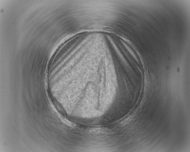 X0000051861093200507151814