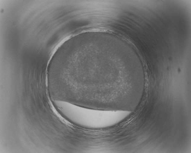 X0000051861095200507151814