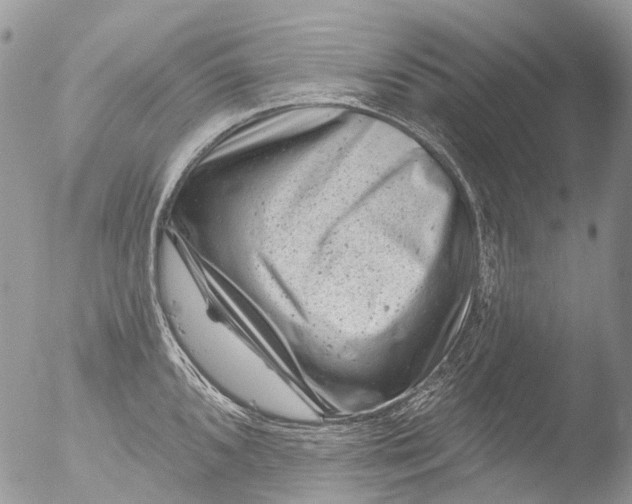 X0000051861096200507151814