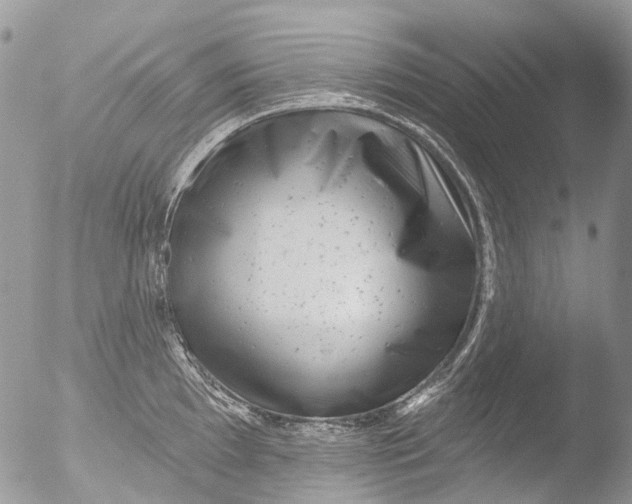 X0000051861097200507151814