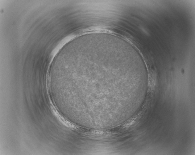 X0000051861098200507151814