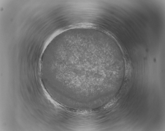 X0000051861099200507151814