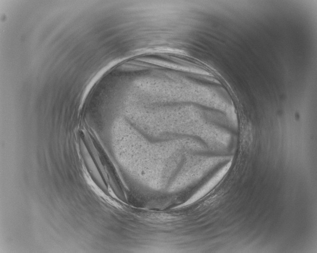 X0000051861100200507151814