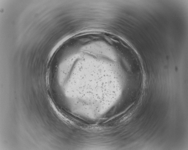 X0000051861101200507151814