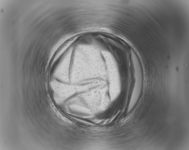 X0000051861102200507151814