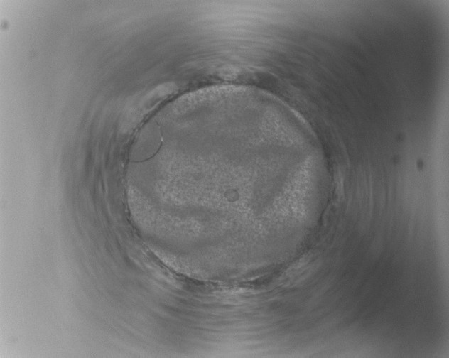 X0000051861105200507151813