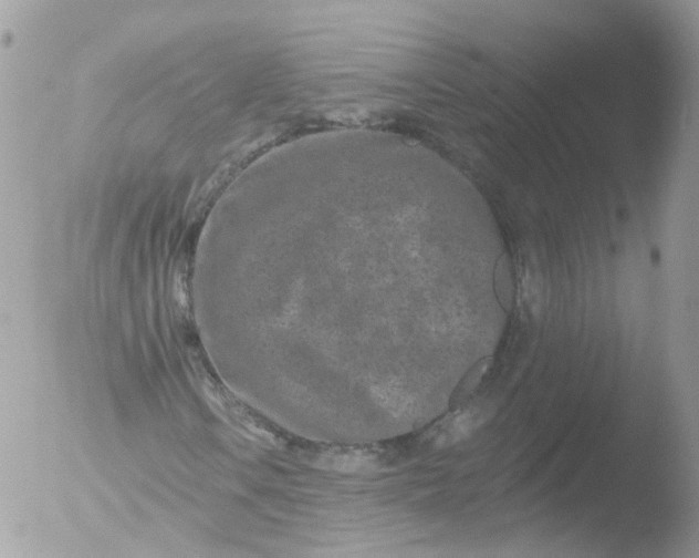 X0000051861106200507151813