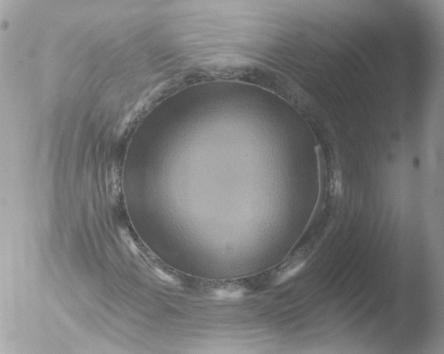 X0000051861108200507151813